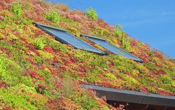 Nymet Tracey living roof systems