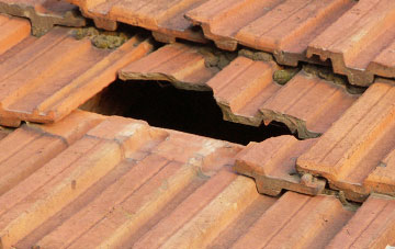 roof repair Nymet Tracey, Devon